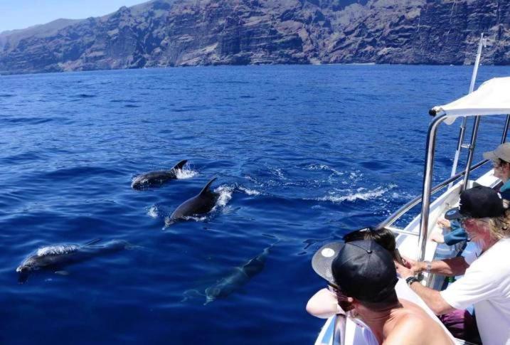 Apartamento Incleibles Vistas Al Oceano Y Piscina. Acantilado de los Gigantes Exteriér fotografie