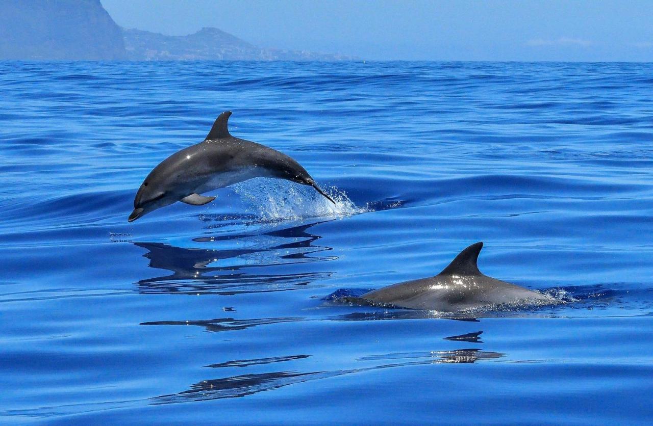 Apartamento Incleibles Vistas Al Oceano Y Piscina. Acantilado de los Gigantes Exteriér fotografie